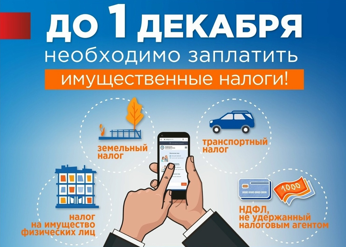 Вовремя и без ошибок: успейте заплатить налоги до 1 декабря и разобраться во всех нюансах!